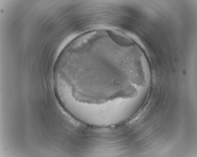 X0000070251048200606232003