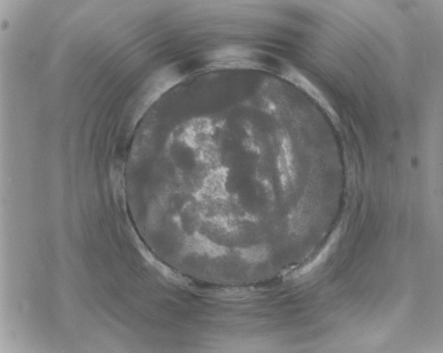 X0000070251049200606232003