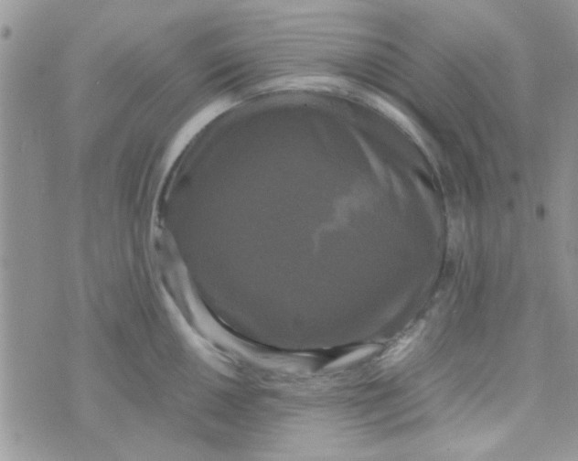 X0000070251050200606232003