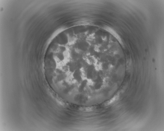 X0000070251051200606232003