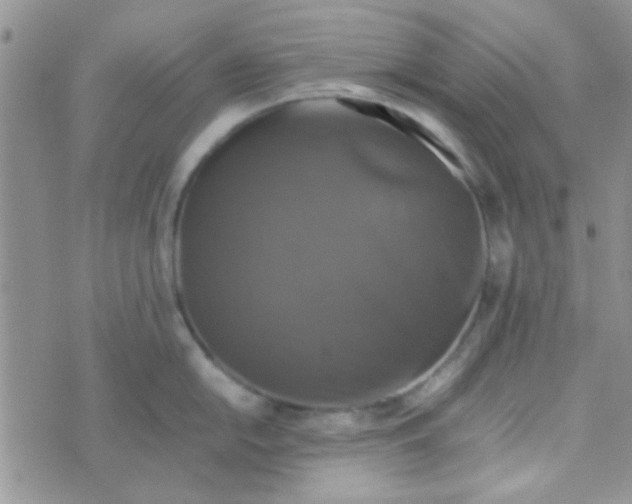 X0000070251054200606232003