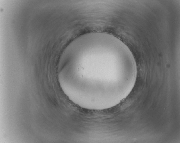 X0000070251057200606232002