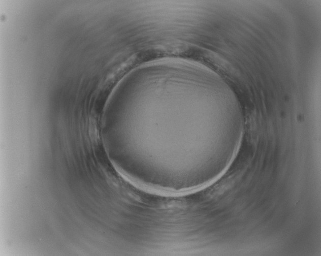 X0000070251058200606232002