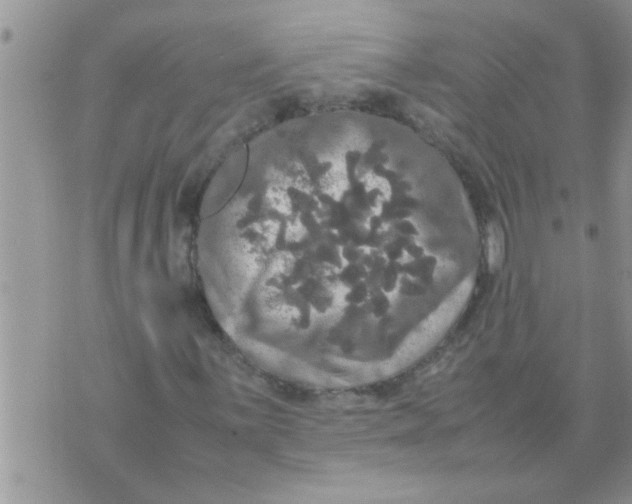 X0000070251059200606232002