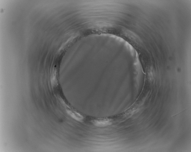 X0000070251060200606232002