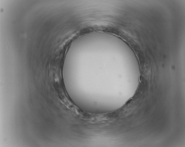 X0000070251061200606232002