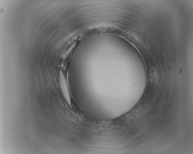 X0000070251062200606232002