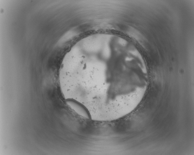 X0000070251063200606232002