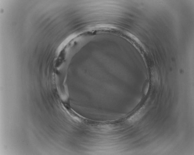 X0000070251066200606232002