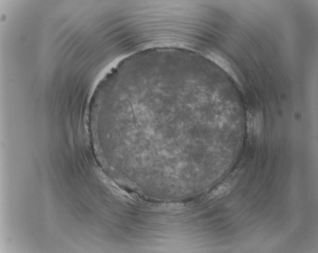 X0000070251068200606232002