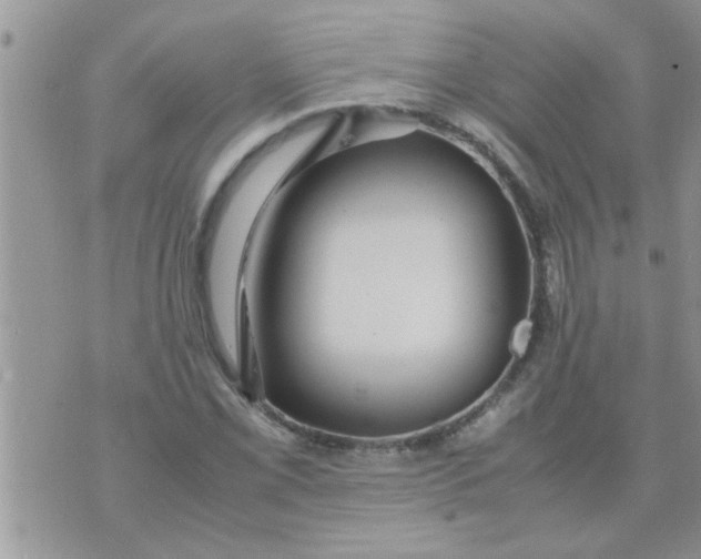 X0000070251069200606232002