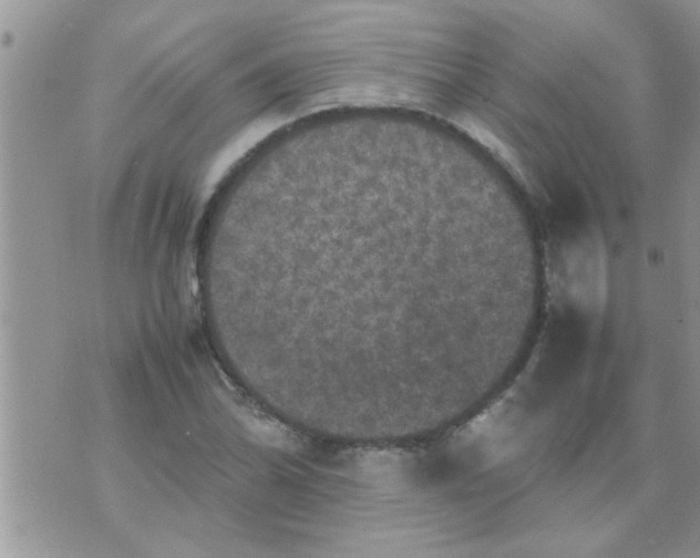 X0000070251070200606232002