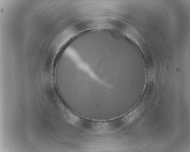 X0000070251071200606232002