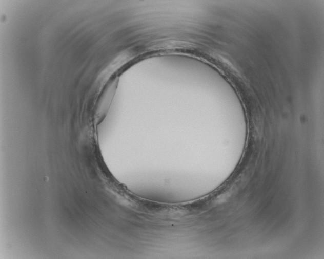 X0000070251073200606232002