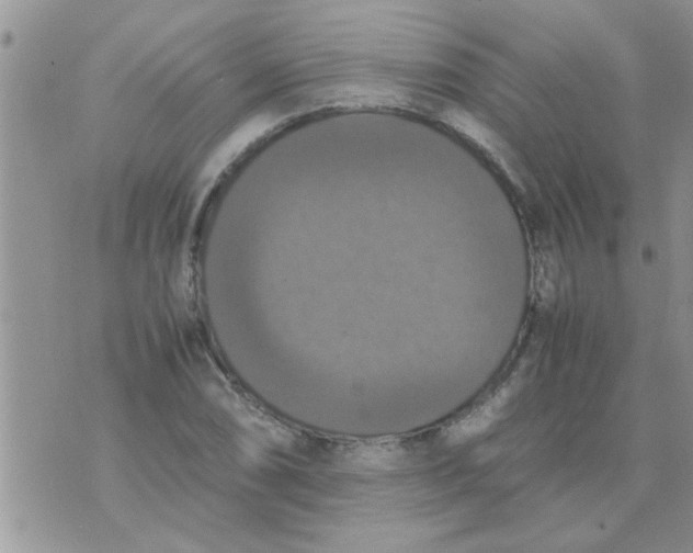 X0000070251074200606232002