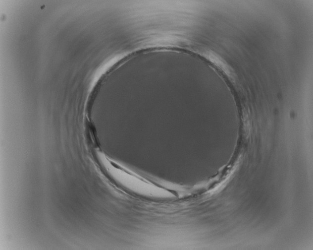 X0000070251077200606232002