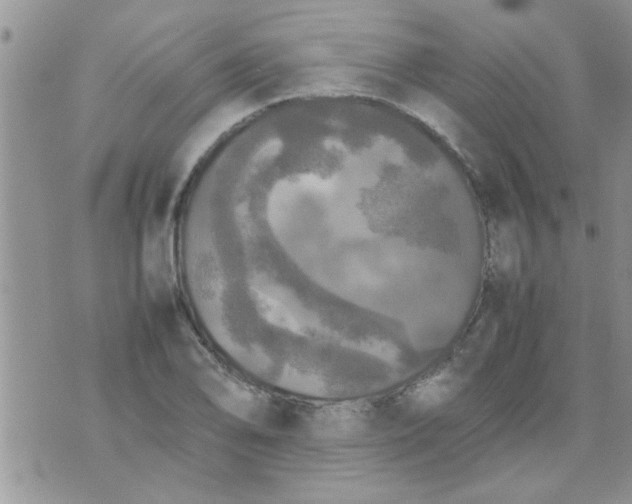 X0000070251078200606232002