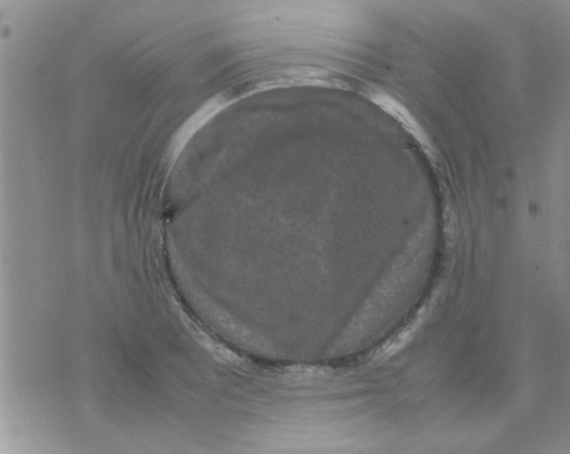 X0000070251081200606232002