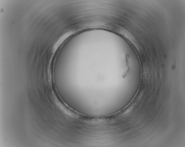 X0000070251082200606232002