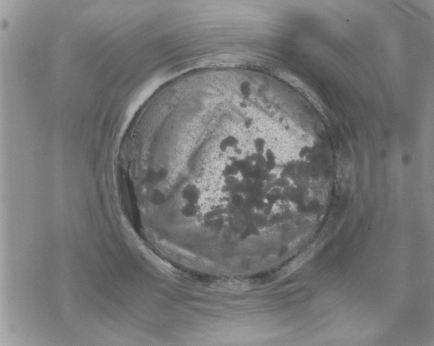 X0000070251083200606232002