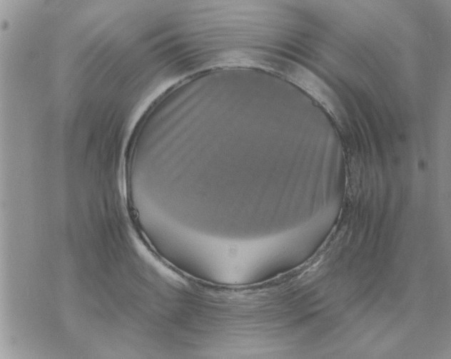 X0000070251084200606232002