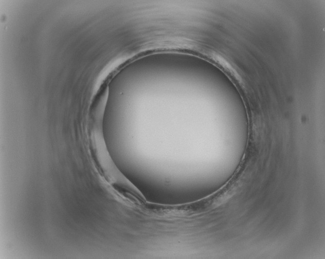 X0000070251085200606232002