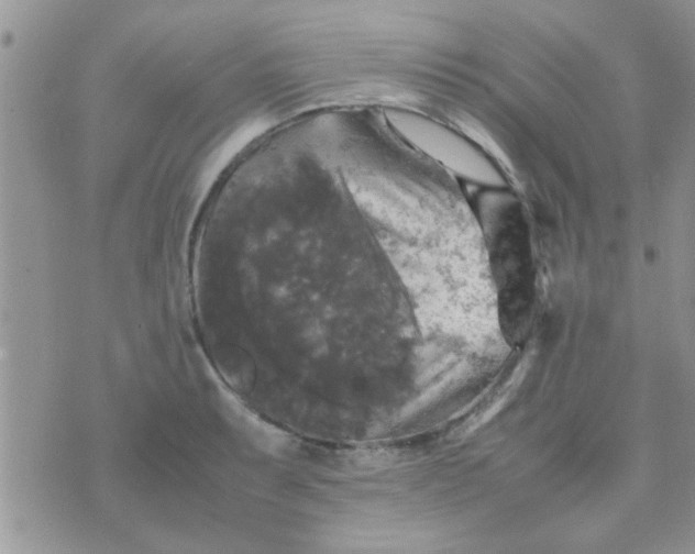 X0000070251087200606232002