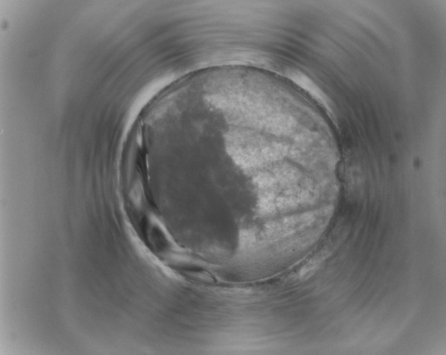 X0000070251088200606232002