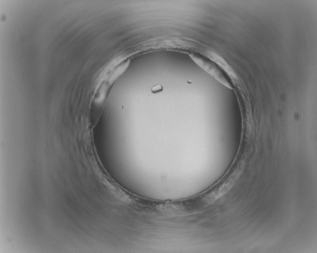 X0000070251089200606232002