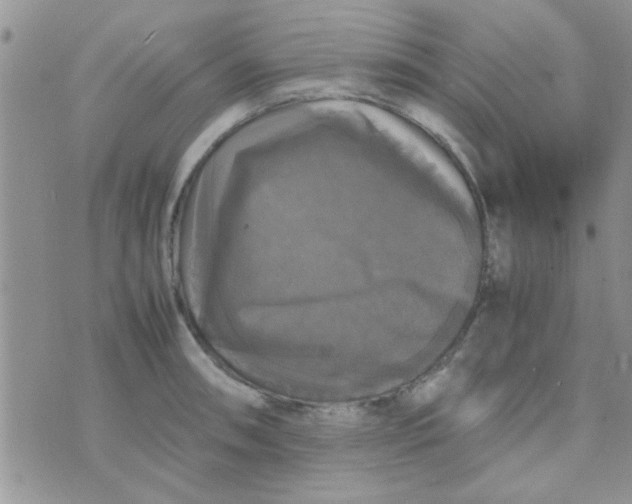 X0000070251090200606232002