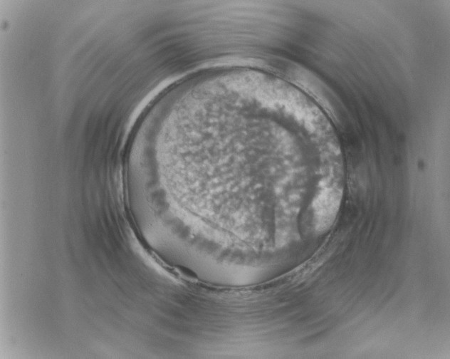 X0000070251092200606232002