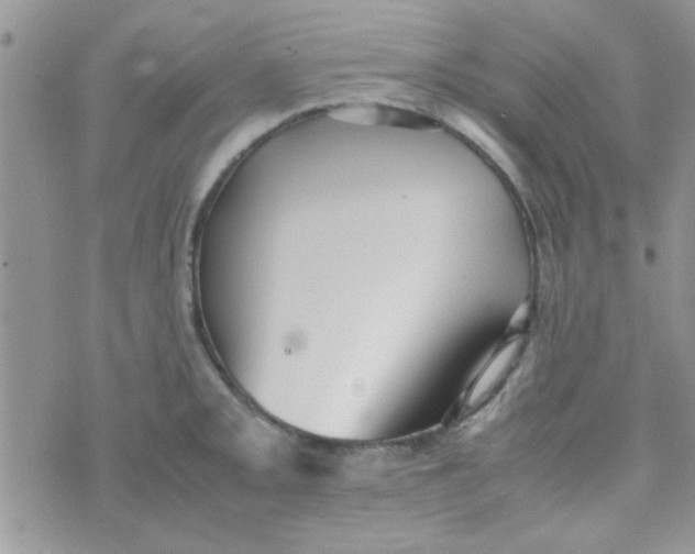 X0000070251093200606232002