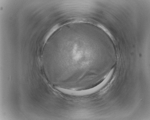 X0000070251097200606232001