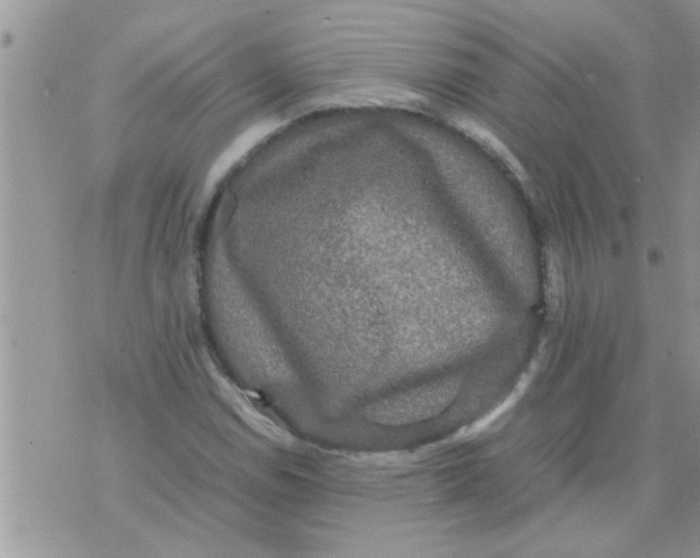 X0000070251114200606232001