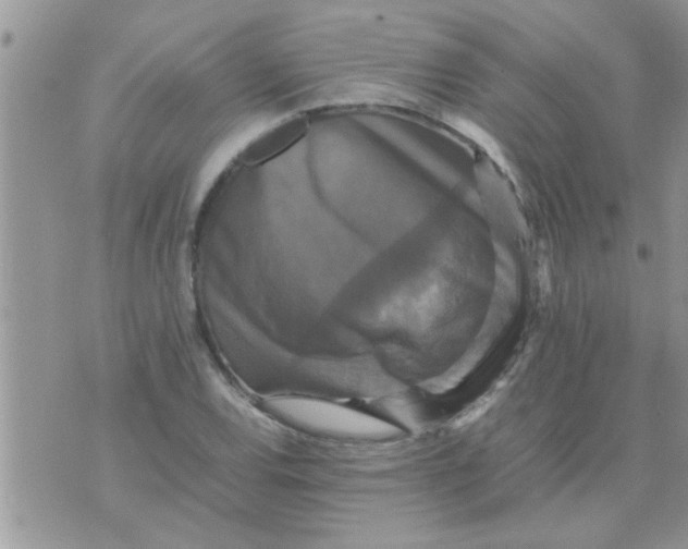 X0000070251120200606232001