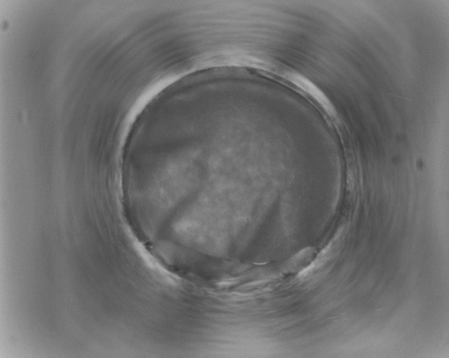 X0000070251144200606232001