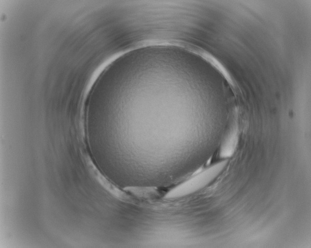 X0000070251148200606232001
