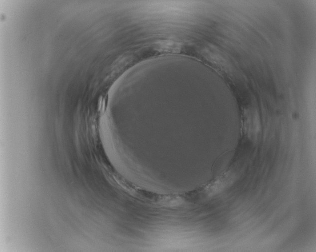 X0000070251154200606232000