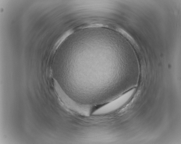 X0000070251193200606232000