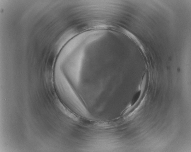 X0000070251194200606232000