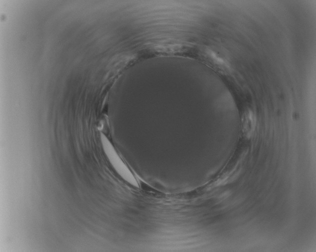 X0000070251202200606231959