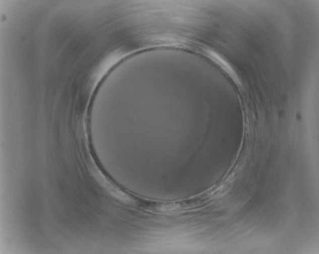 X0000070251291200606231958