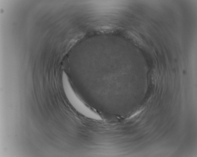 X0000070251298200606231957