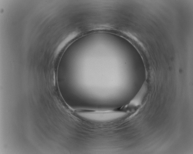 X0000070251317200606231958