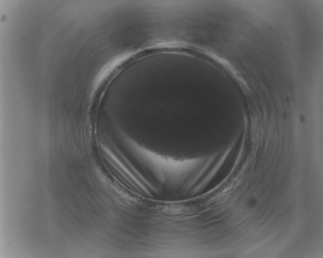 X0000070251319200606231958