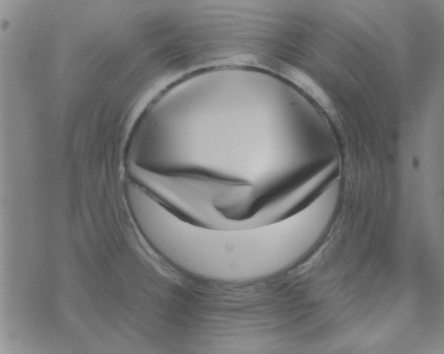 X0000070251332200606231958