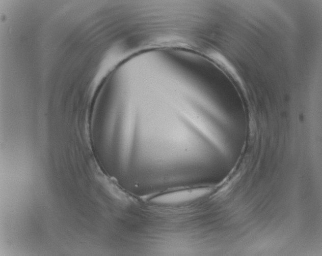 X0000070251336200606231958