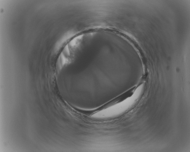X0000070251359200606231957