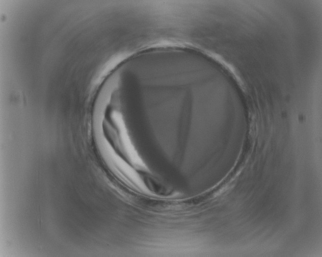 X0000070251367200606231957