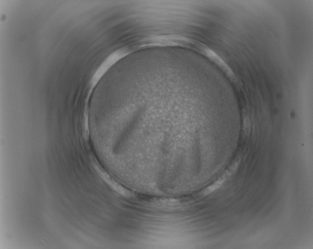 X0000070251370200606231957